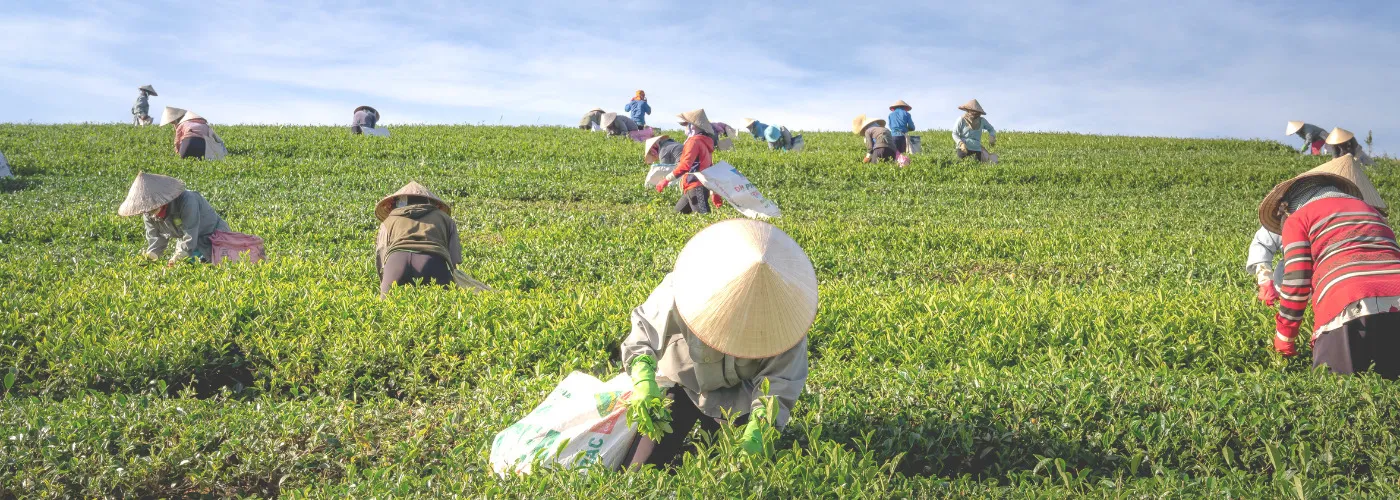 Read more about the article Eligibility Of Agriculture Infrastructure fund