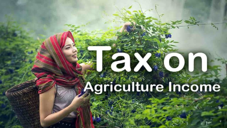Read more about the article Income Tax On Agricultural Income