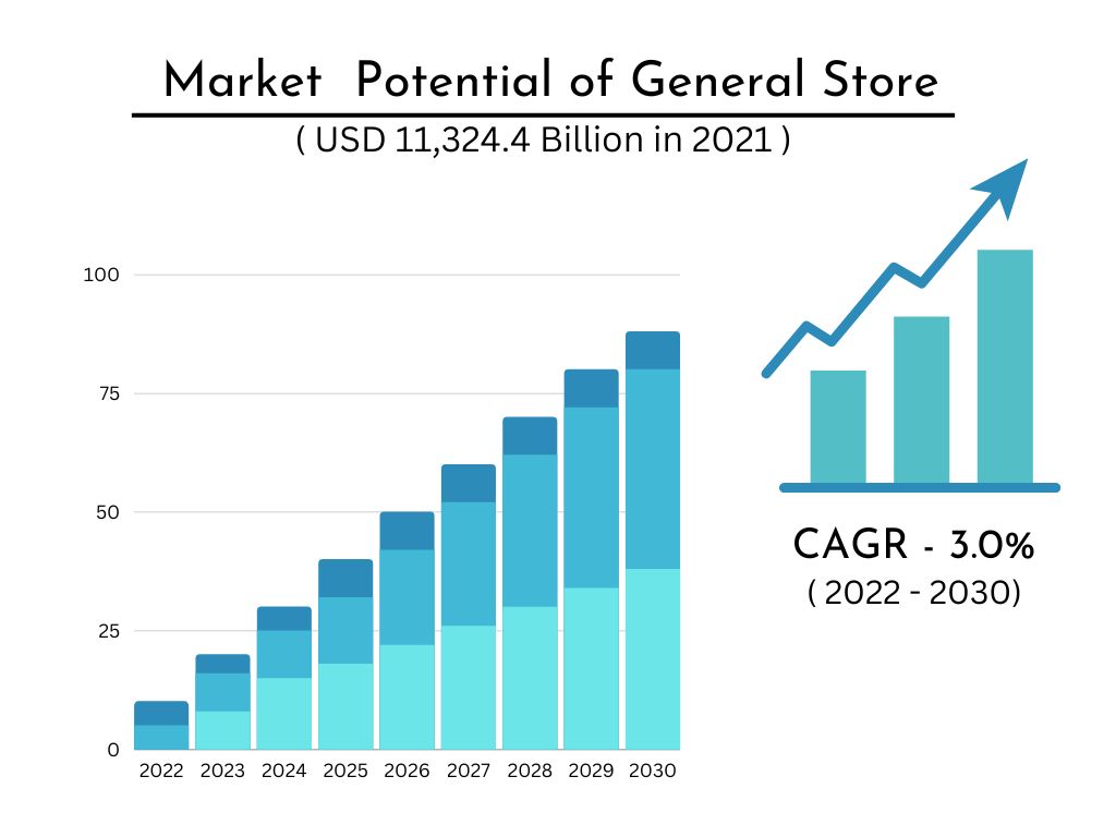 Project-report-for-general-store's-market potential