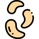 Cashew Industry