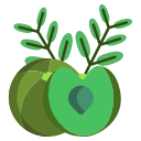 gooseberry