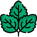 Read more about the article Menthol plant