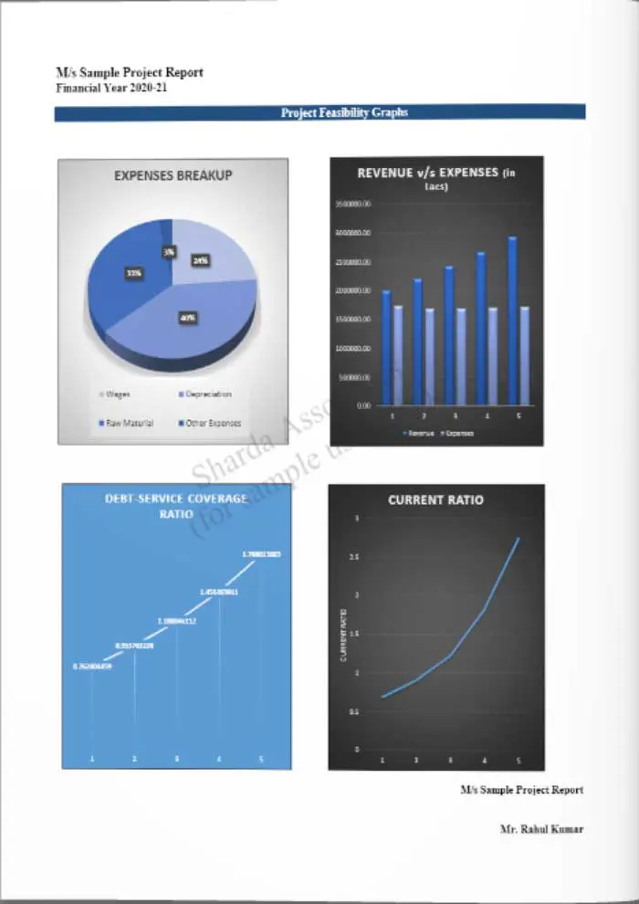Feasibility-report-sample-page-2