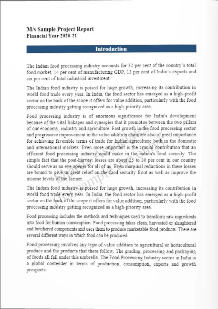 Feasibility-report-sample-page-3