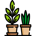 Geranium Farming