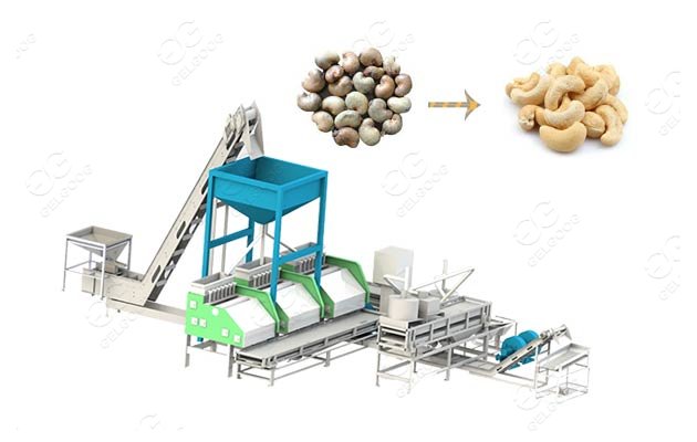 Project Report For Cashew Processing Unit