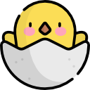 chick