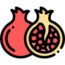 Pomegranate-processing-icon