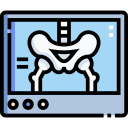 x rays