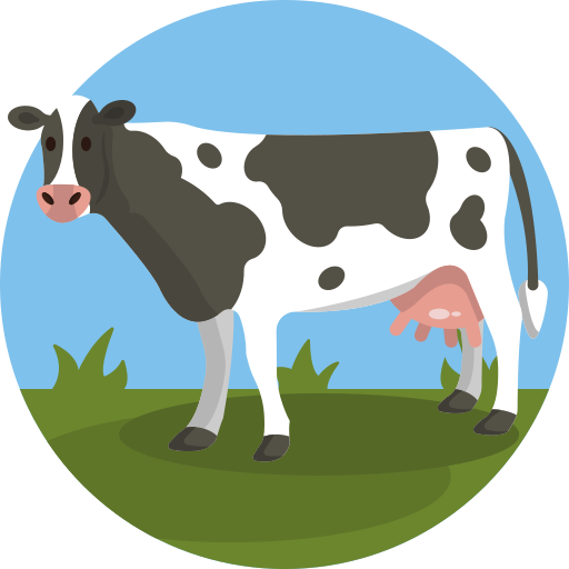 Gir-Cow