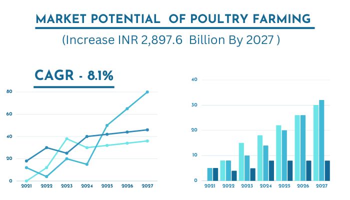 Market-potential-of-poultry-farming
