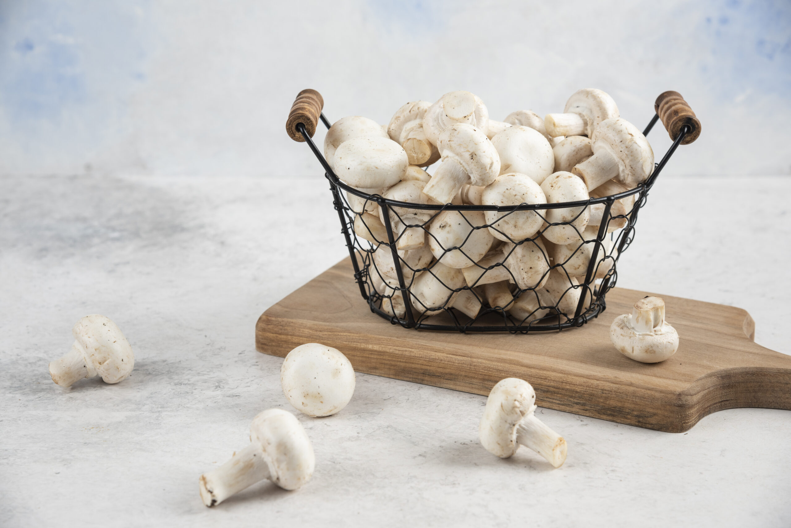 Milky Mushroom Cultivation