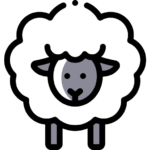 Sheep-Farming