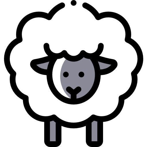 Sheep-Farming