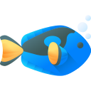 Rohu Fish Farming