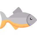 RAS-fish-icon