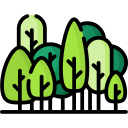 Read more about the article Mahogany Tree Farming