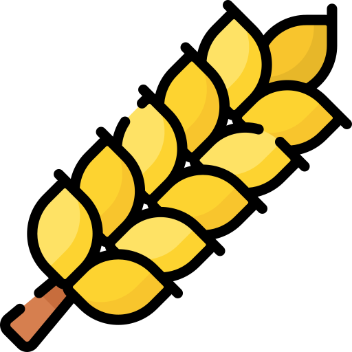 Wheat Grading Plant