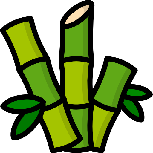 Bamboo-Plantation