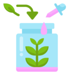 Tissue Culture