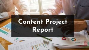 Read more about the article Content Of Project Report