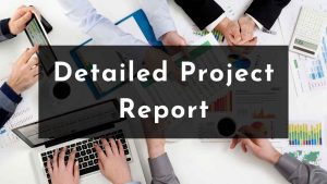 Read more about the article What is Detailed Project Report
