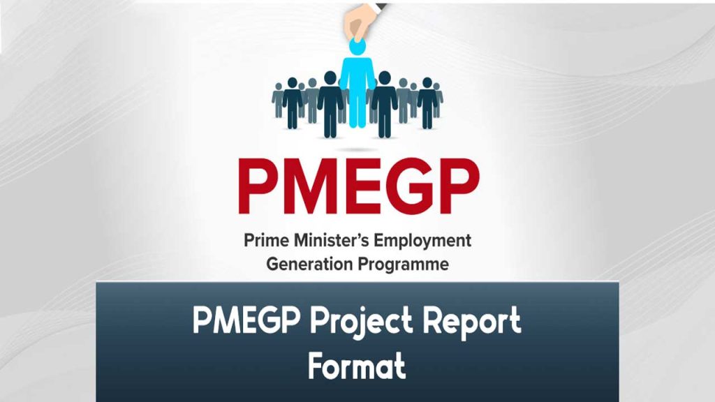 PMEGP Project Report Format