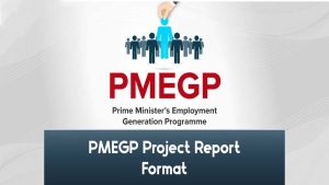 Read more about the article PMEGP Project Report Format