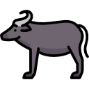 Buffalo-Dairy-Farming