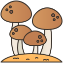 Read more about the article Button Mushroom