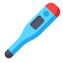 Digital Thermometer
