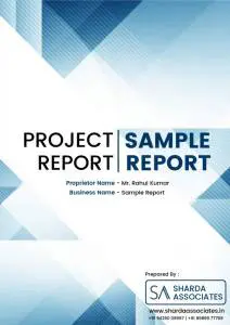 Curcumin Extraction 1 bank loan project report