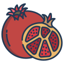 Read more about the article Pomegranate Farming