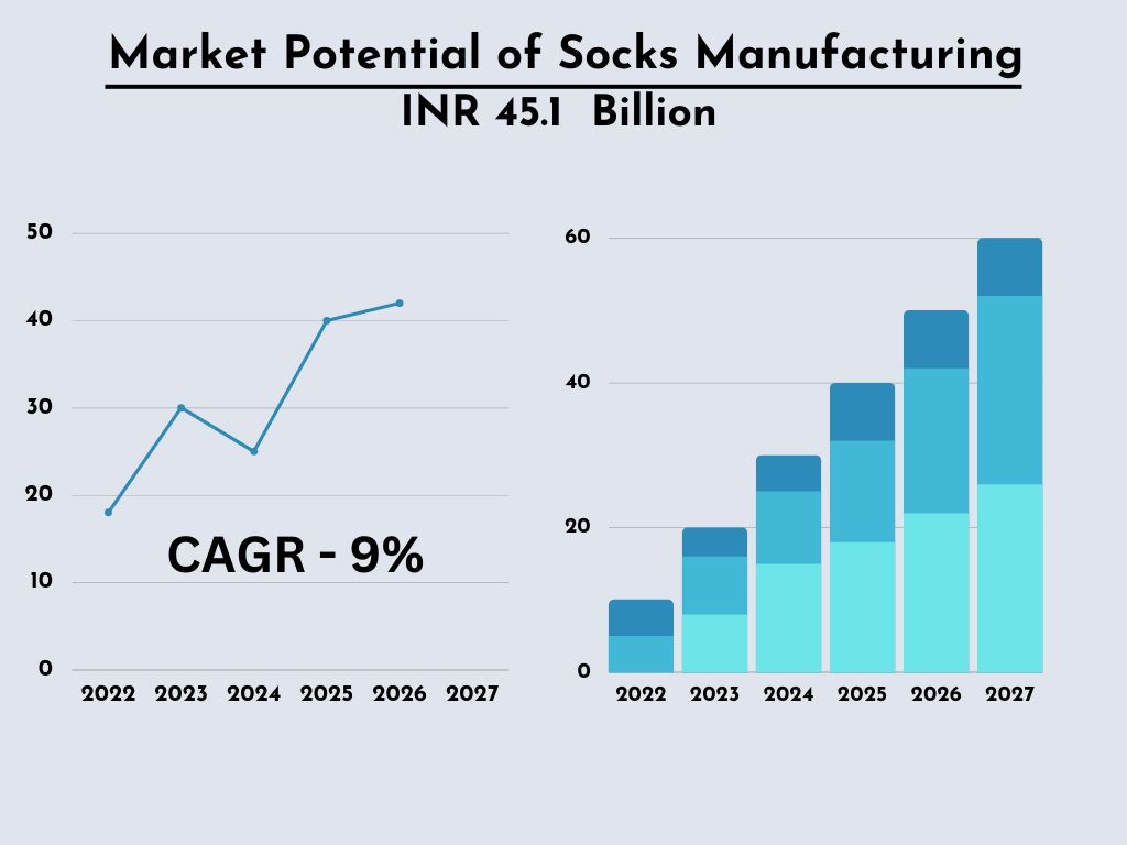 Project-report-for-socks-manufacturing's-market potential
