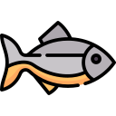Fish-shop-icon