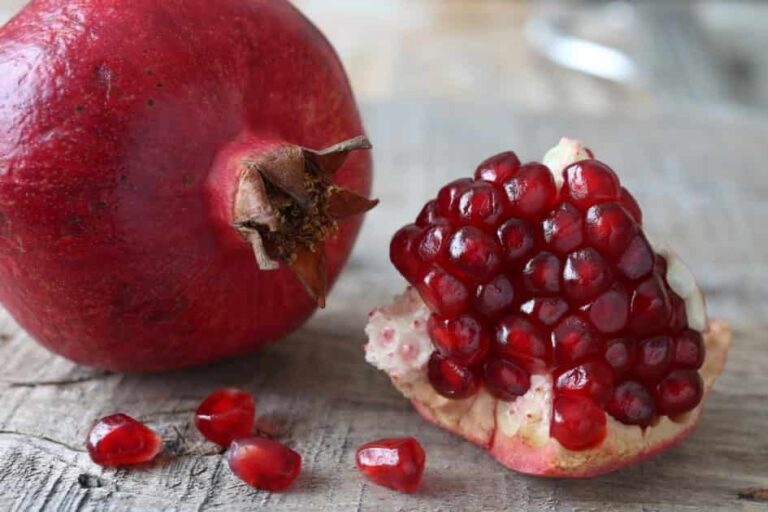 Project-report-for-pomegranate-cultivation