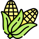 Maize Starch Plant