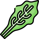 Project-report-for-stevia-processing-plant