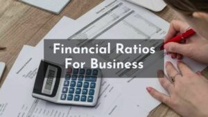 Read more about the article Financial Ratios for Business