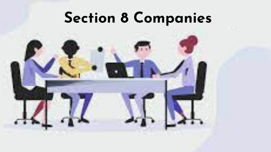 How To Name Your Section 8 Companies?