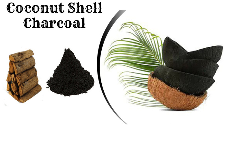 Project-report-for-coconut-shell-charcoal-manufacturing