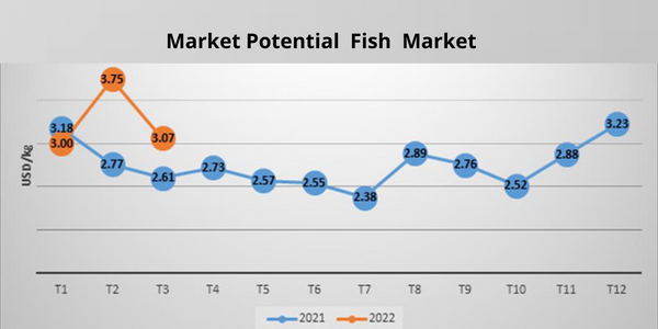 Market-potential-of-pangasius-fish