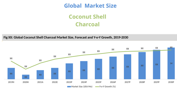 Global Coconut Shell Charcoal Industry