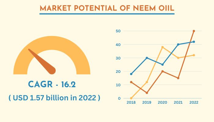 Market-potential-of-neem-oil