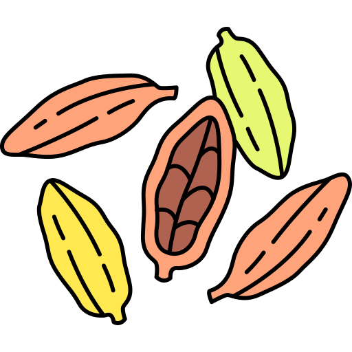 Read more about the article Cardamom Plantation