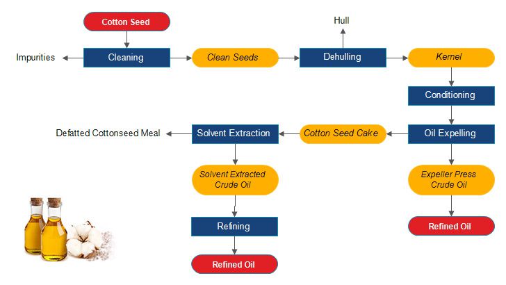 cotton-seed-oil-milling-process