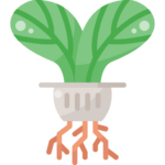 Hydroponic-farming-icon