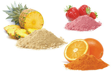 Project Report For Spray Dried Fruit And Vegetable Powders