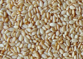 Project-report-for-sesame-seeds