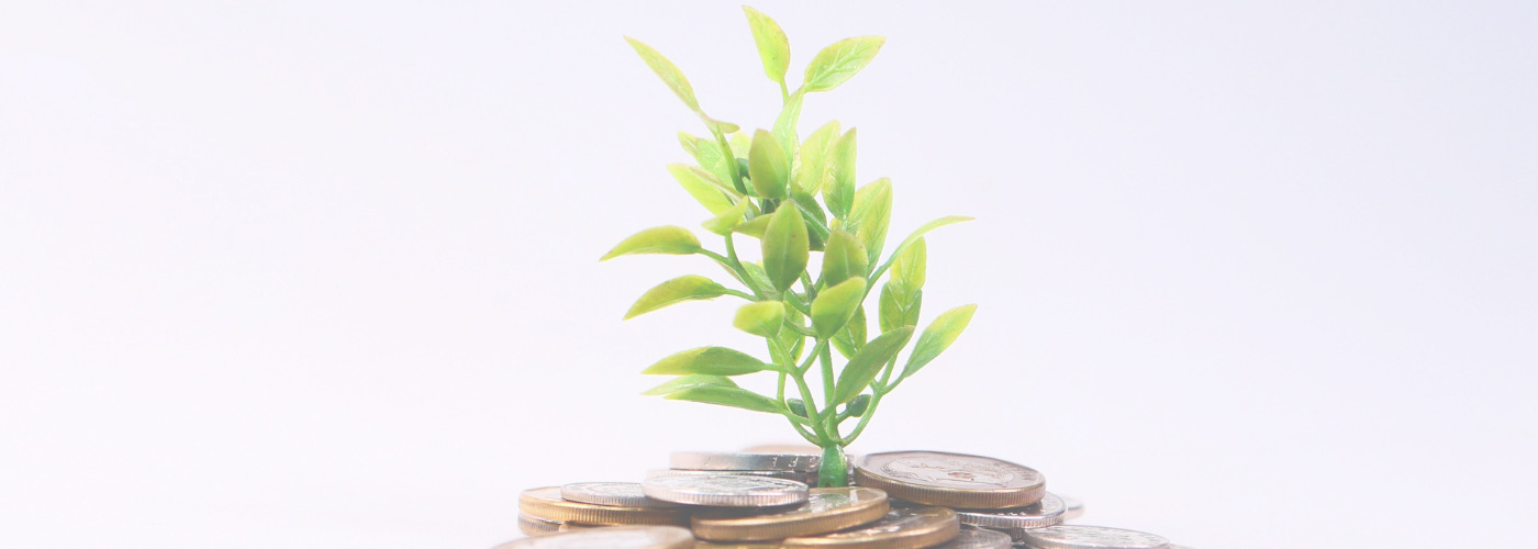 Read more about the article Nidhi Company Registration